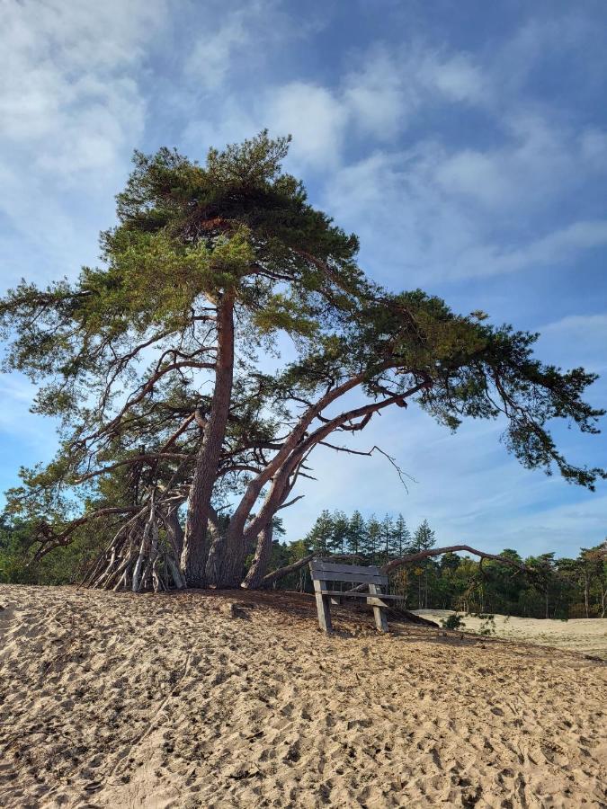 Vechtdal Beerze Buren Esterno foto
